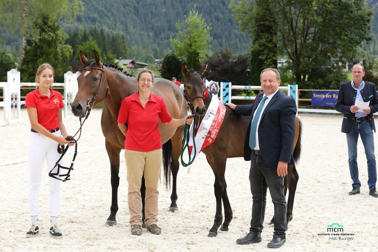 Hervorragende Erfolge für Salzburgs Warmblutzüchter.jpg