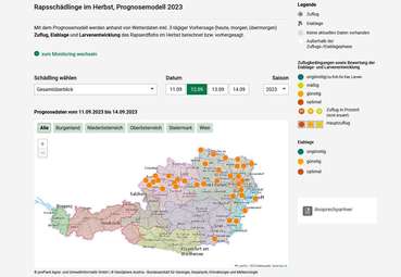 Screenshot Warndienst Rapserdfloh © warndienst.at