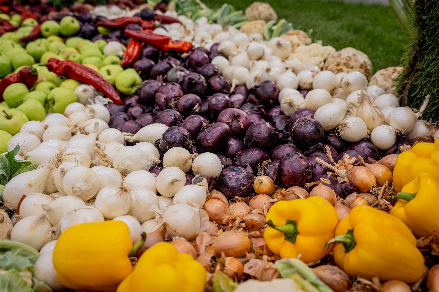 © Georg Pomaßl/LK Niederösterreich © Georg Pomaßl/LK Niederösterreich