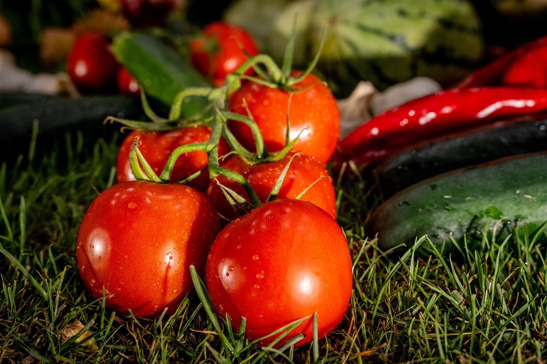 © Georg Pomaßl/LK Niederösterreich © Georg Pomaßl/LK Niederösterreich