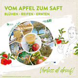 Apfel Insta 1080x1080px Grafiken.jpg © Marlene Weitzenböck/LK Niederösterreich Apfel Insta 1080x1080px Grafiken.jpg © Marlene Weitzenböck/LK Niederösterreich