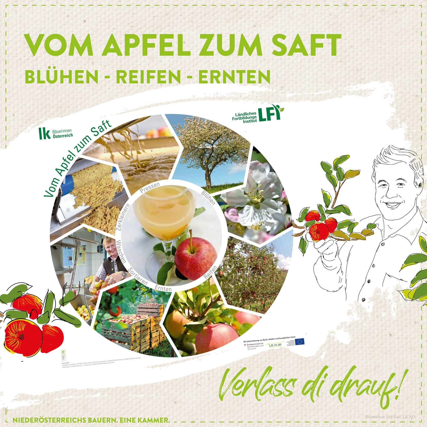 Apfel Insta 1080x1080px Grafiken.jpg © Marlene Weitzenböck/LK Niederösterreich Apfel Insta 1080x1080px Grafiken.jpg © Marlene Weitzenböck/LK Niederösterreich