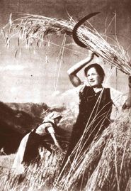 Schnitterin.jpg © Archiv Schnitterin.jpg © Archiv