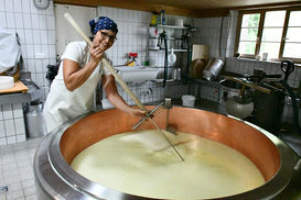 Ostergunten 2 ©LK VBg..jpg Ostergunten 2 ©LK VBg..jpg