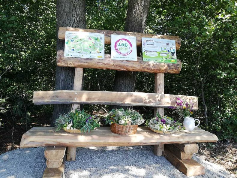 IMG-20230824-WA0047.jpg IMG-20230824-WA0047.jpg