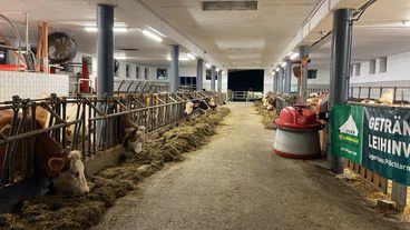 Stallabend_RZV_Melk_AFEN4434.jpg © BBK Melk/Langeder Stallabend_RZV_Melk_AFEN4434.jpg © BBK Melk/Langeder