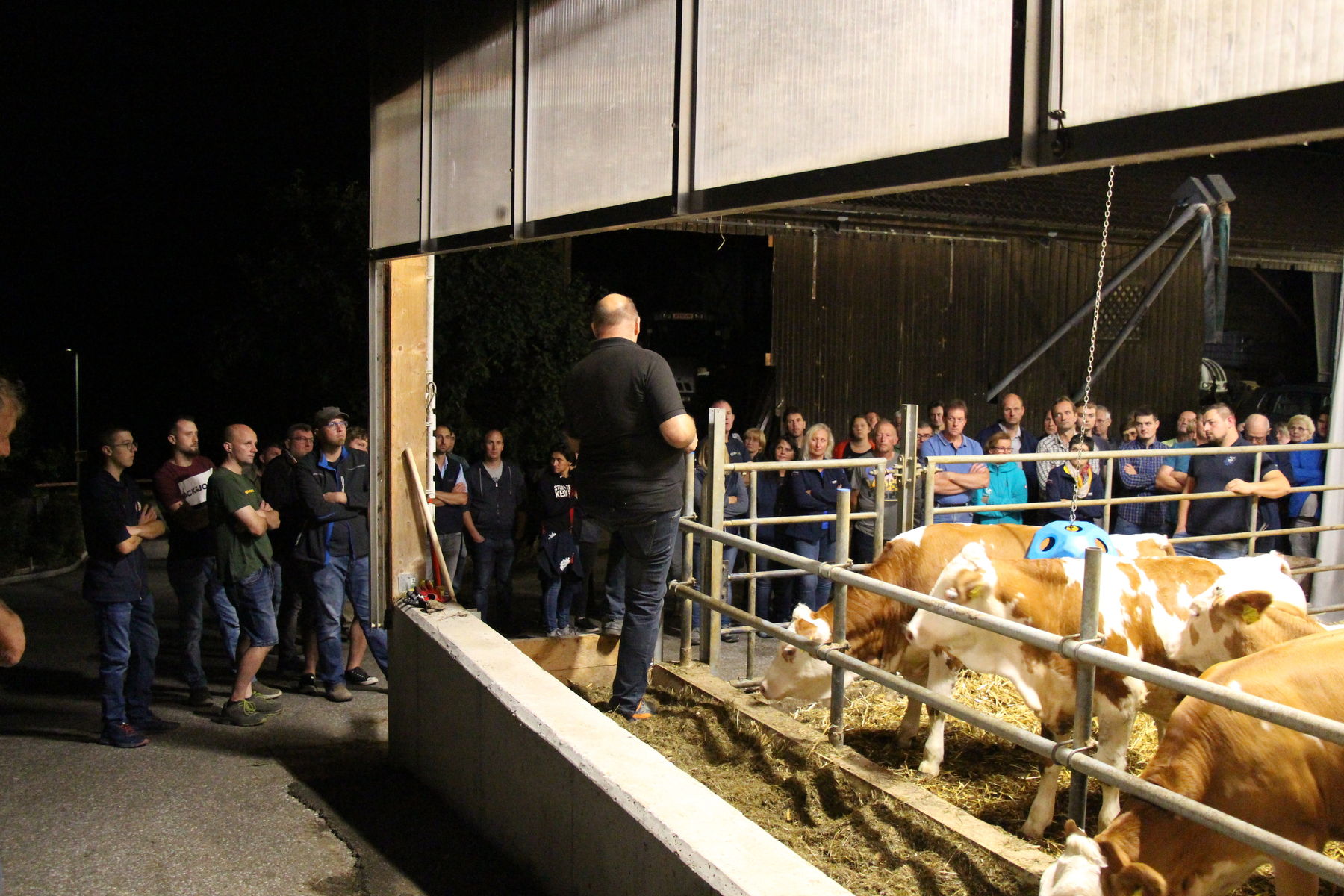 Stallabend_RZV_Melk-Nord_IMG_4573.jpg © BBK Melk/Langeder Stallabend_RZV_Melk-Nord_IMG_4573.jpg © BBK Melk/Langeder