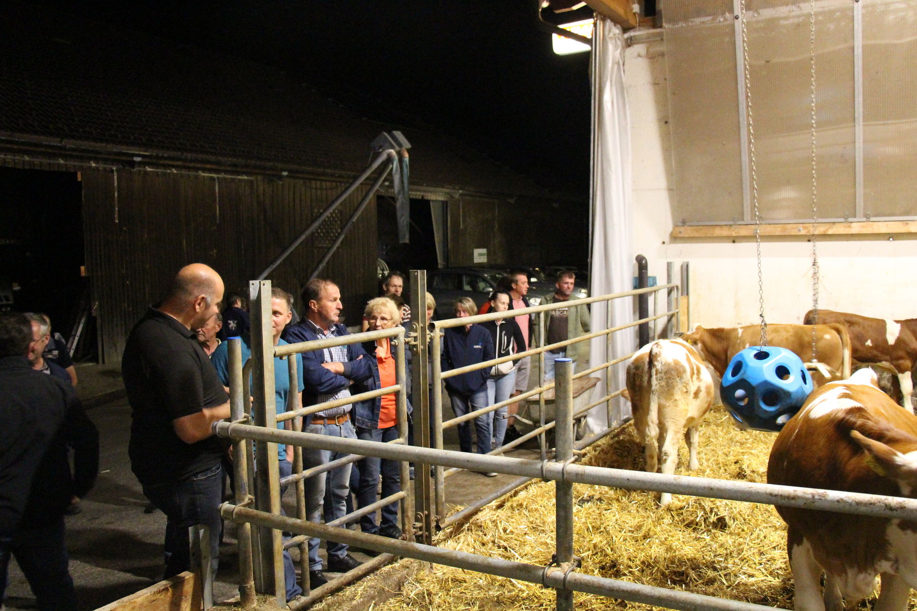 Stallabend_RZV_Melk-Nord_IMG_4578.jpg © BBK Melk/Langeder Stallabend_RZV_Melk-Nord_IMG_4578.jpg © BBK Melk/Langeder