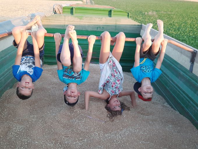 2023 Erntezeit © Diewald Ernstbrunn (2).jpg © BBK MI 2023 Erntezeit © Diewald Ernstbrunn (2).jpg © BBK MI