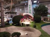 Gartenbaumesse 2023.jpg