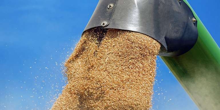 wheat-1508654_1280.jpg © Pixabay