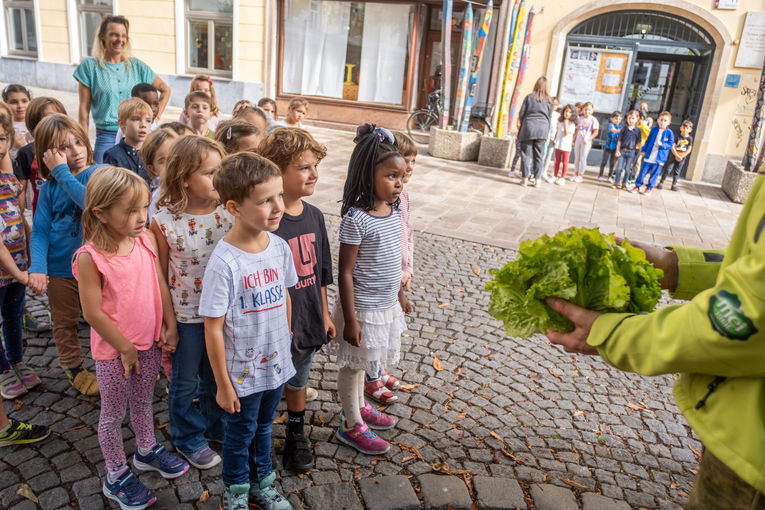 © LK Steiermark/Danner