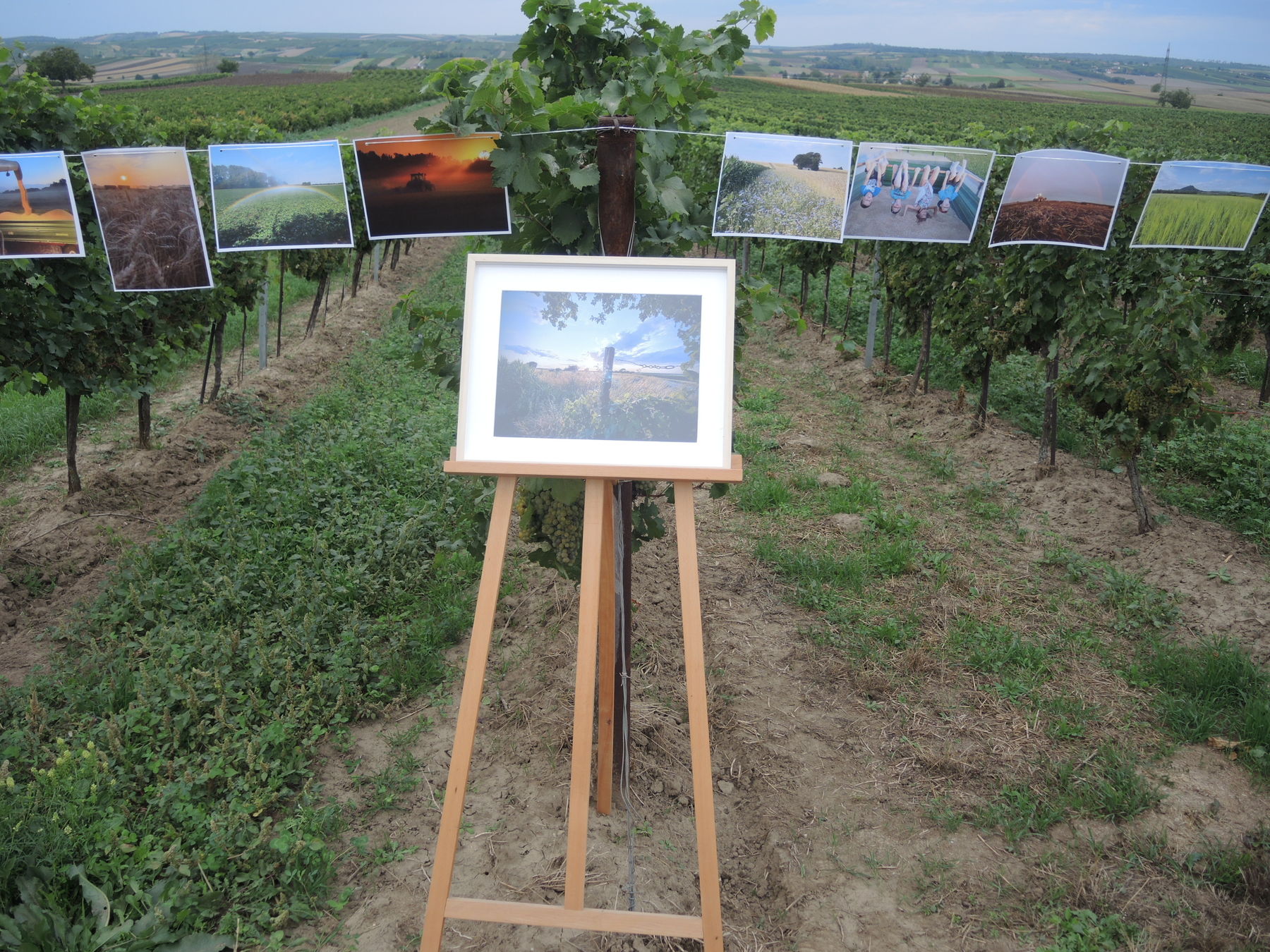 © Andrea Uhl LK NÖ © Andrea Uhl LK NÖ