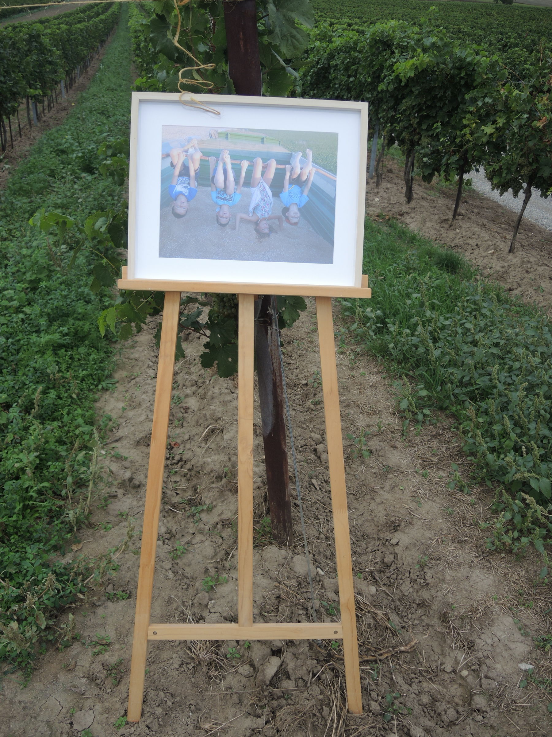 © Andrea Uhl LK NÖ © Andrea Uhl LK NÖ