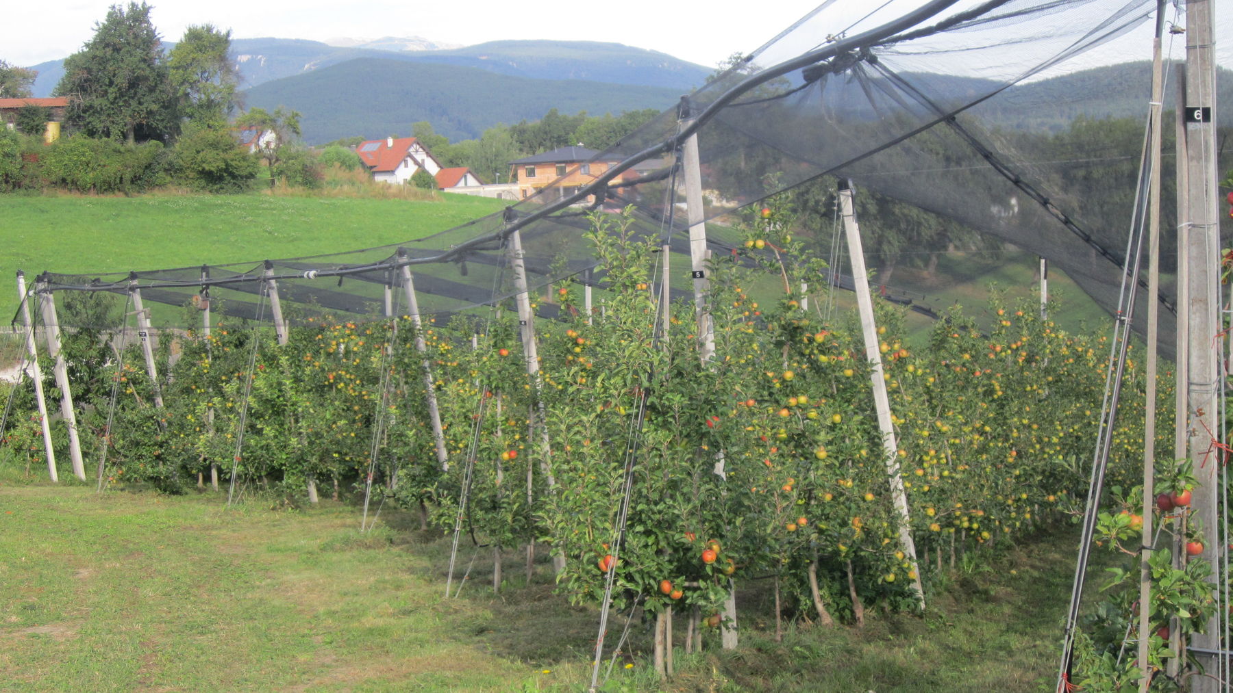 IMG_2098.jpg © BBK Neunkirchen/Martin Weihs IMG_2098.jpg © BBK Neunkirchen/Martin Weihs