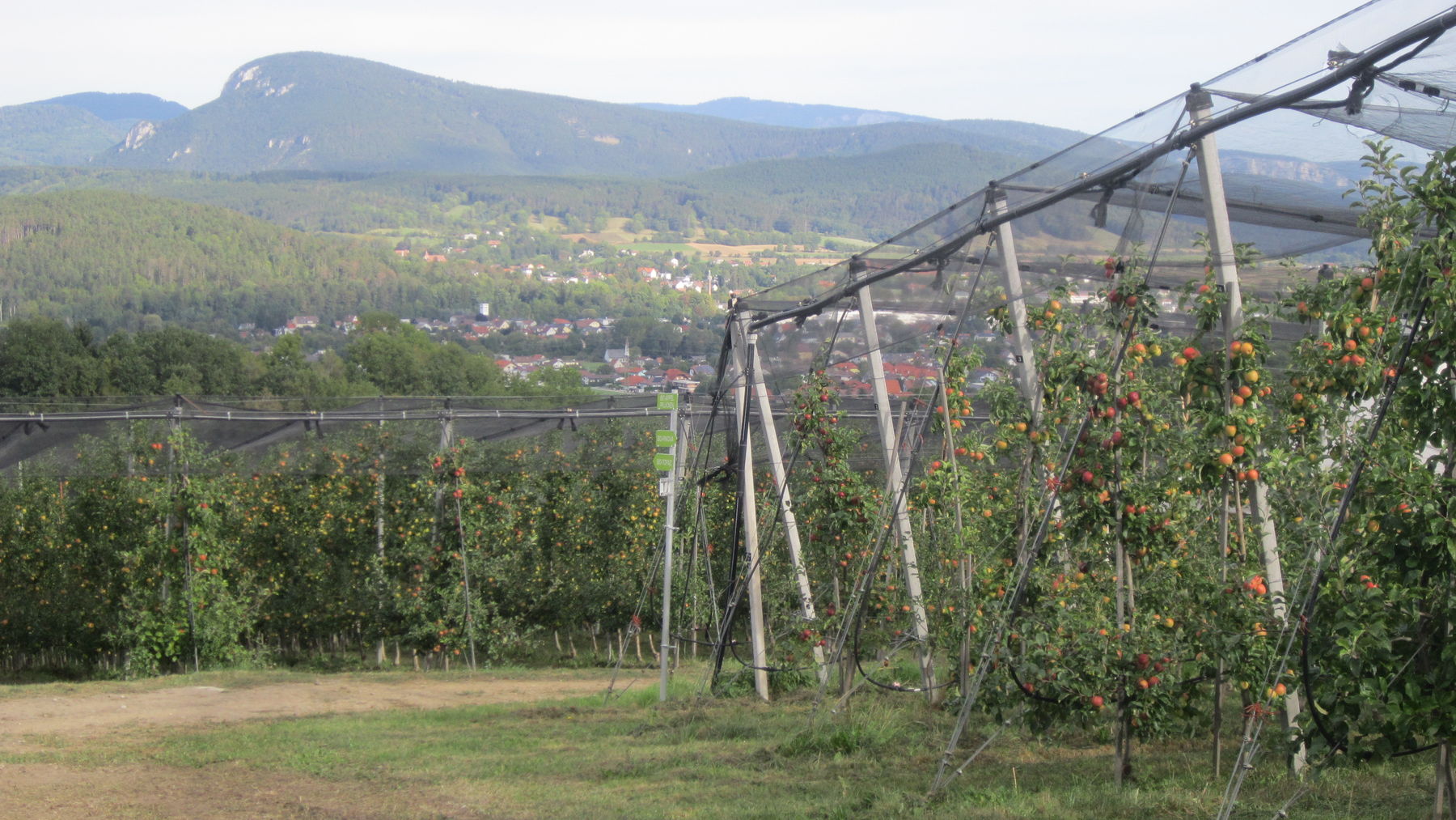 IMG_2116.jpg © BBK Neunkirchen/Martin Weihs IMG_2116.jpg © BBK Neunkirchen/Martin Weihs