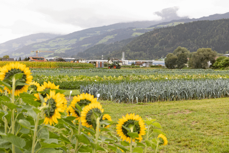 DieFotografen_136-Kopie.gif © Die Fotografen