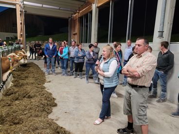 Stallabend_RZV_Ötscherland_195150_(c)Fitzthum.jpg © Fitzthum Johannes Stallabend_RZV_Ötscherland_195150_(c)Fitzthum.jpg © Fitzthum Johannes