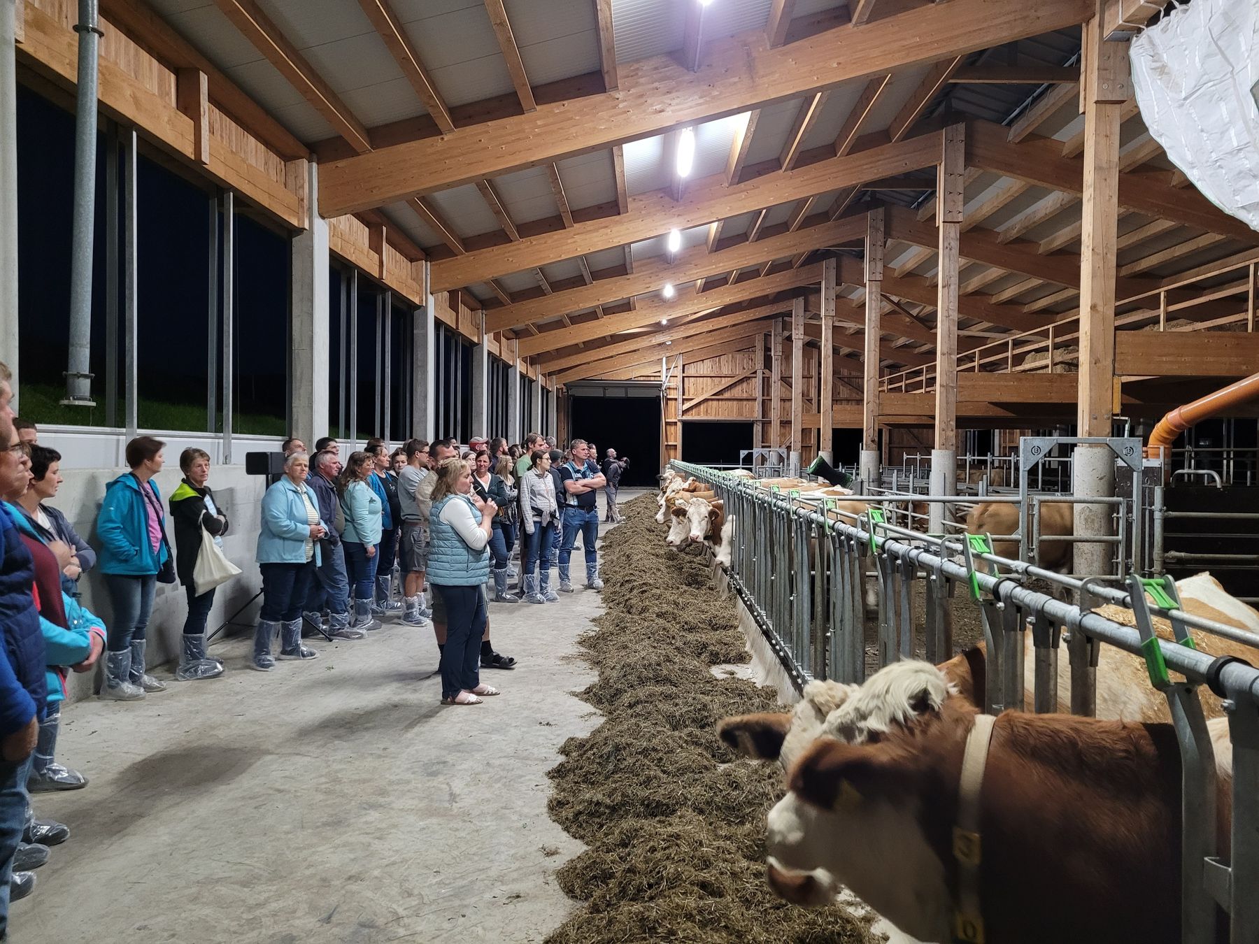 Stallabend_RZV_Ötscherland_195213_(c)Fitzthum.jpg © Fitzthum Johannes Stallabend_RZV_Ötscherland_195213_(c)Fitzthum.jpg © Fitzthum Johannes