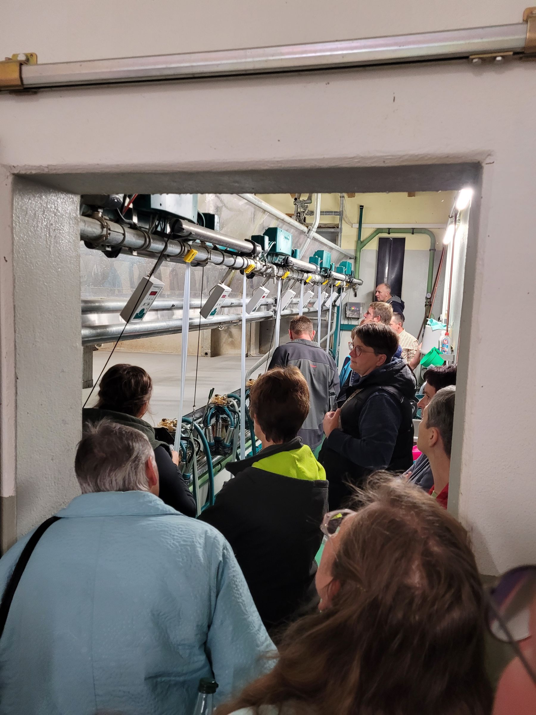 Stallabend_RZV_Ötscherland_201727_(c)Fitzthum.jpg © Fitzthum Johannes Stallabend_RZV_Ötscherland_201727_(c)Fitzthum.jpg © Fitzthum Johannes