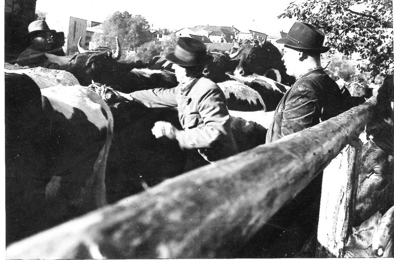 Oberndorf.jpg © Archiv