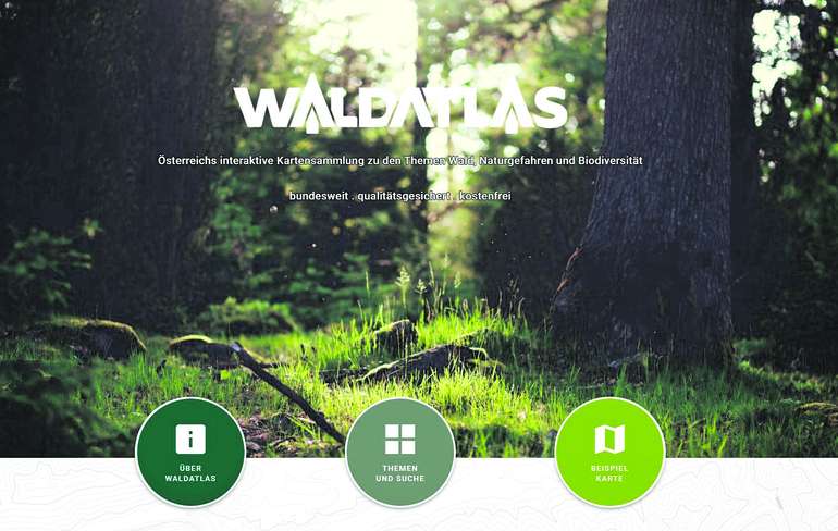Startseite des Waldatlas Startseite des Waldatlas