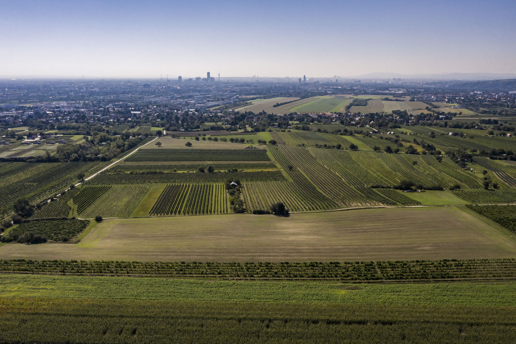 wien--stammersdorf-hochfeld-herbst-0082.jpg © RWK Wien / Robert Herbst