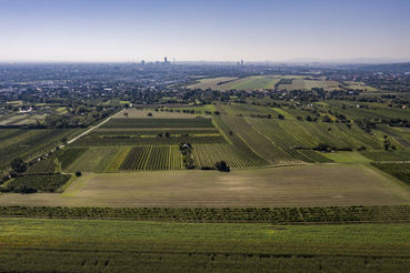 wien--stammersdorf-hochfeld-herbst-0082.jpg © RWK Wien / Robert Herbst