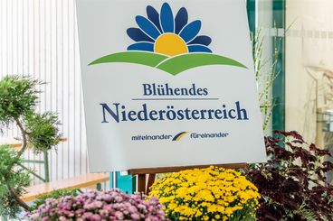 Blühendes NÖ 2023