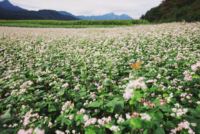 [1695983078308562_1.jpg]