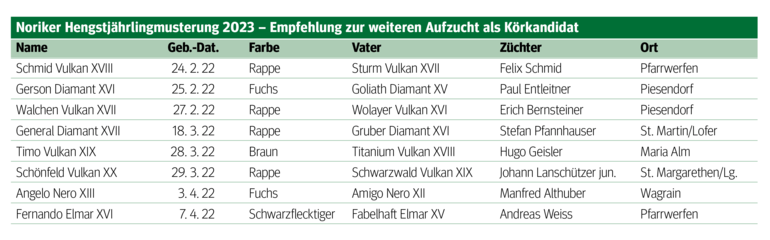 Frischgekörte Hengste für das neue Zuchtjahr.png © Archiv Frischgekörte Hengste für das neue Zuchtjahr.png © Archiv