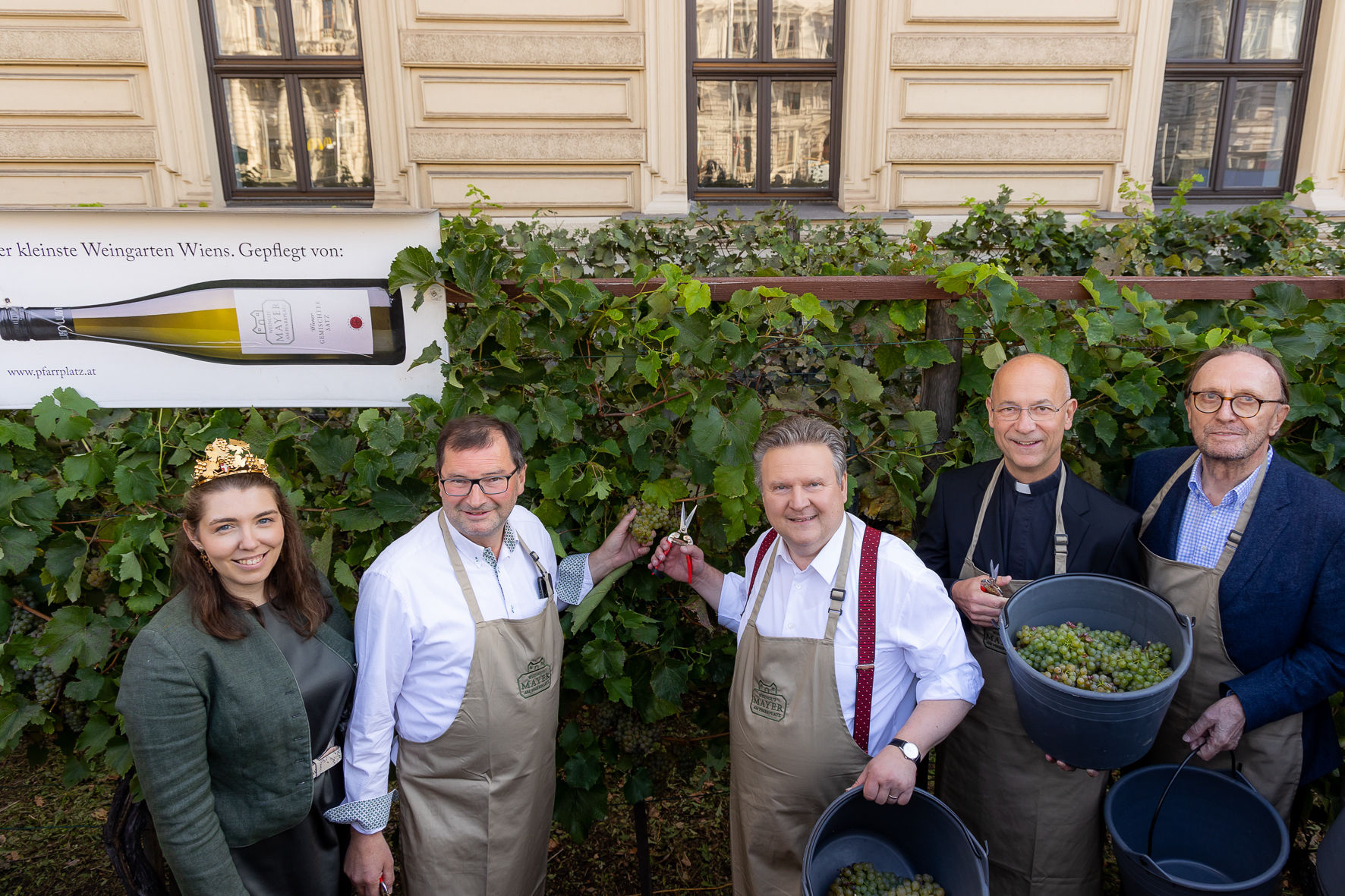 Weinlese am Schwarzenbergplatz.jpg