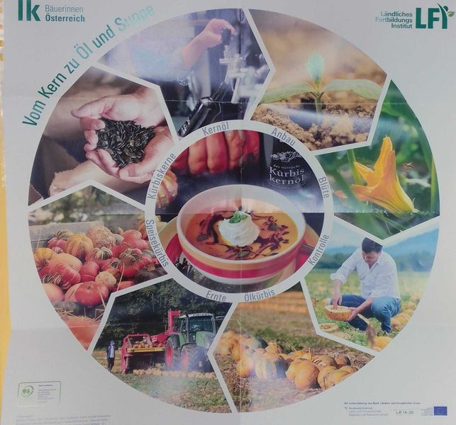 IMG-20231012-WA0013.jpg IMG-20231012-WA0013.jpg