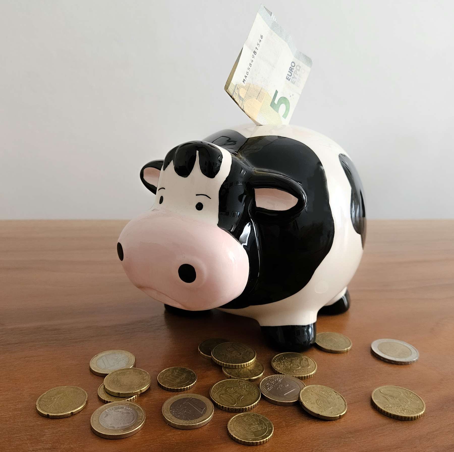 Sparkuh © Beate Kraml