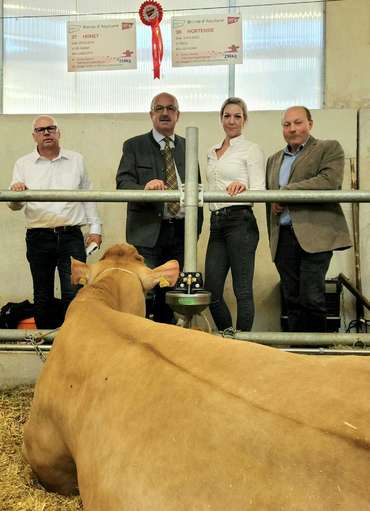 BS Foto 4 © Schütz, Landwirtschaftskammer und Rinderzuchtverband als erste Gratulanten im Ausstellungsstall.jpg © Beatrix Schütz