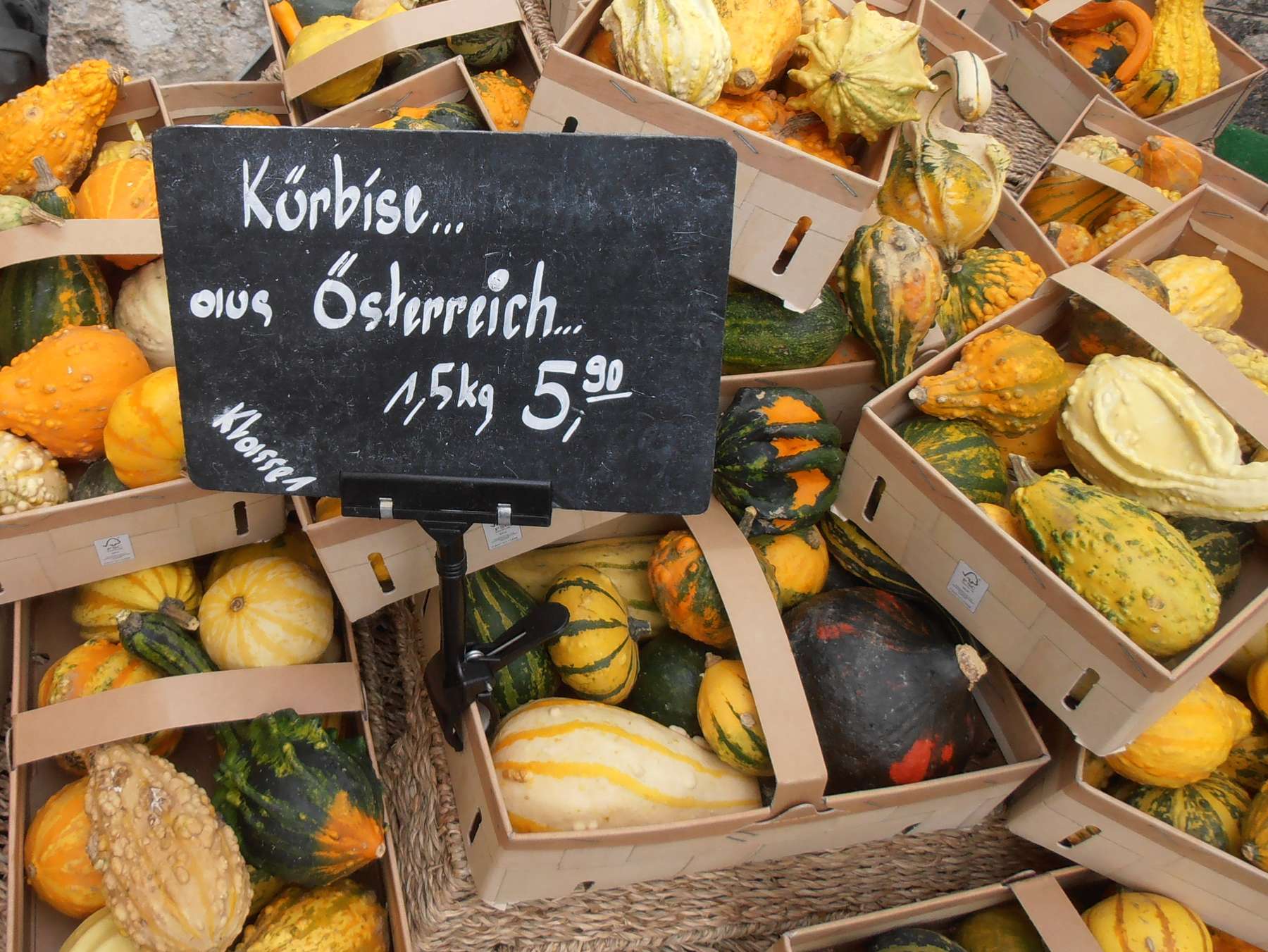 sb42_mt_kürbis.jpg © Dürnberger sb42_mt_kürbis.jpg © Dürnberger