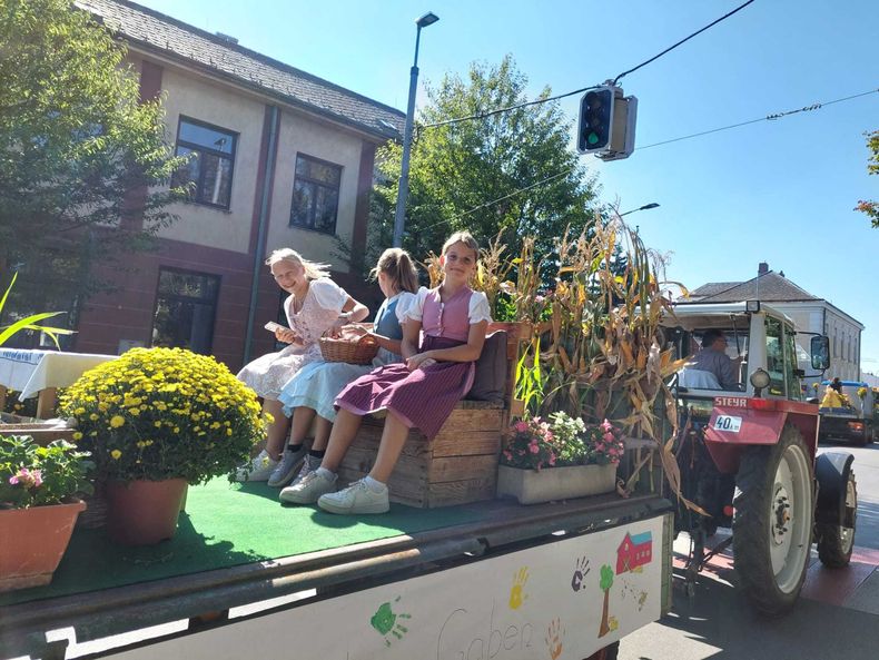 Neumayr2.jpg Neumayr2.jpg