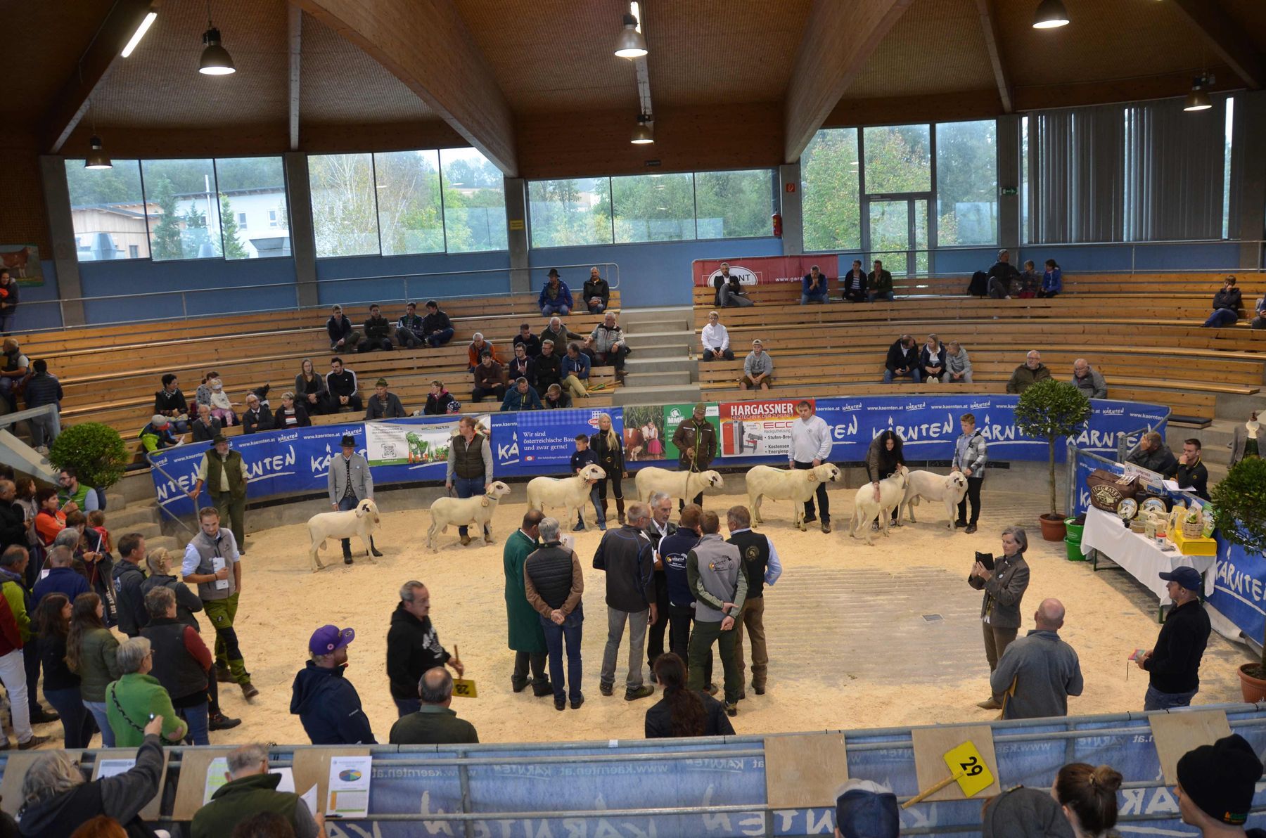 Bundesweite Zentralkörung © SZZV Kärnten