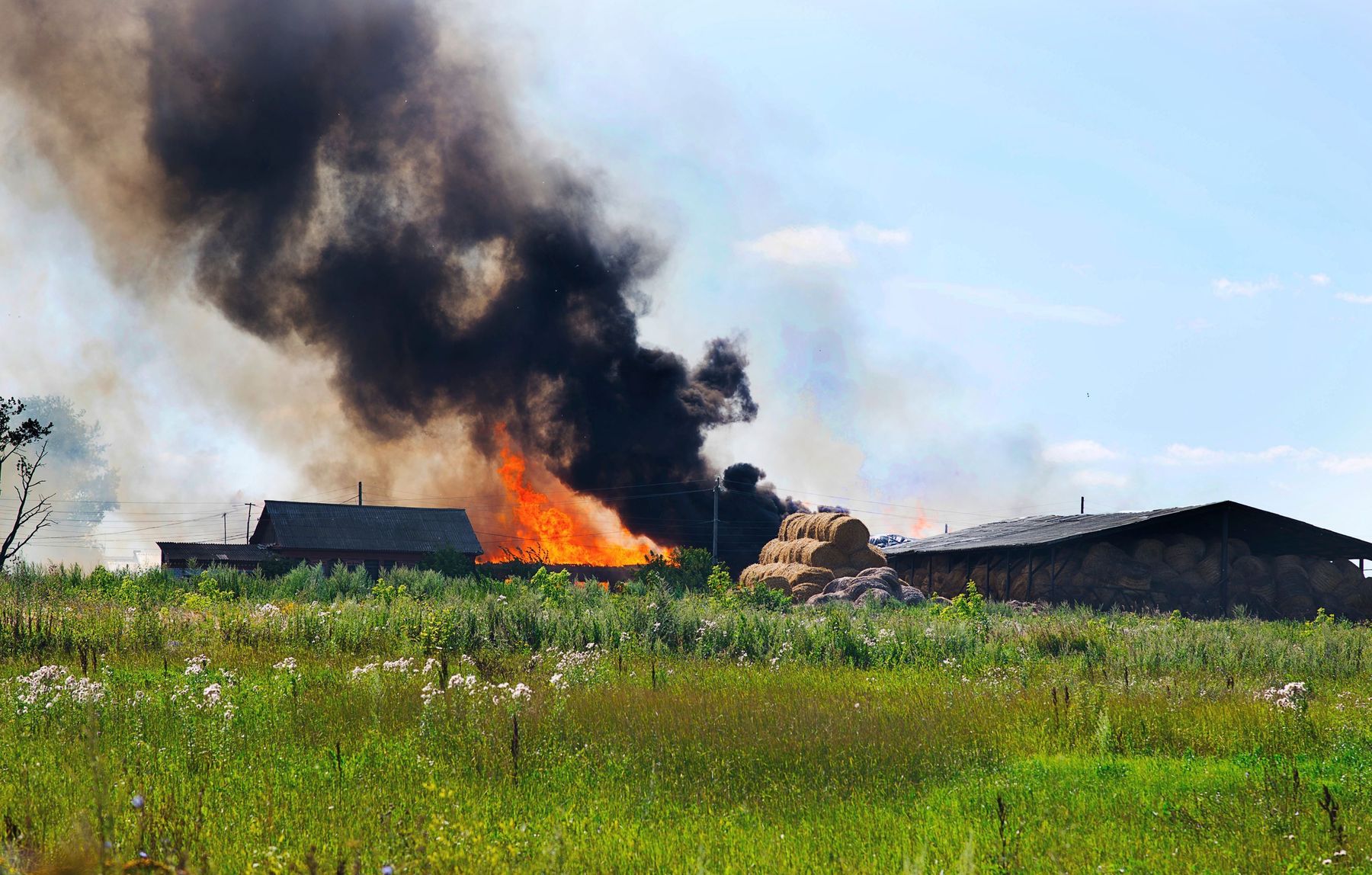 Brand Landwirtschaft.jpg © Artem/stock.adobe.com