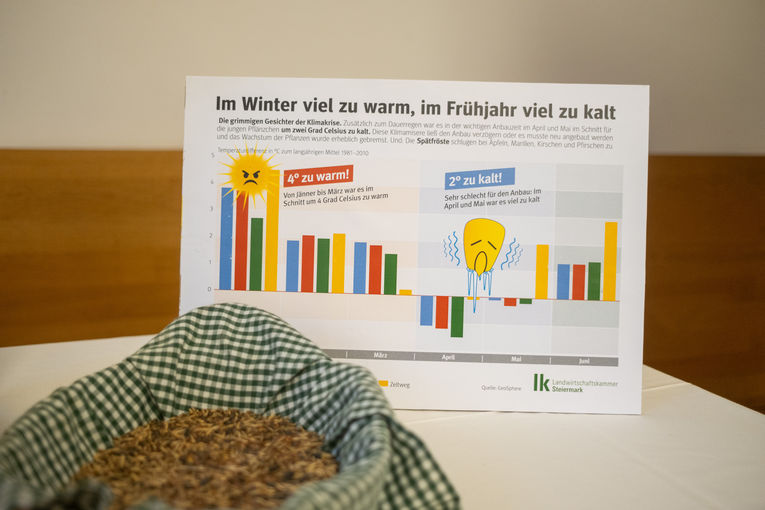 © LK Steiermark/Danner