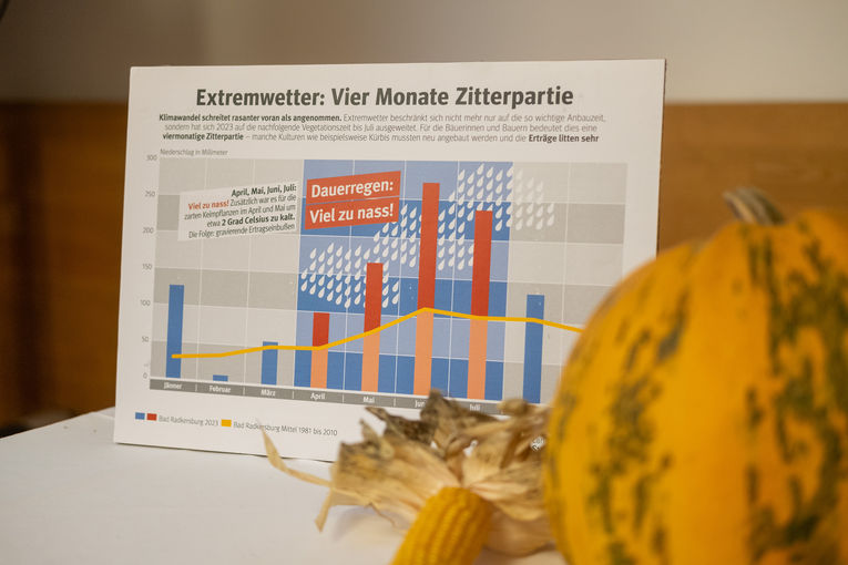 © LK Steiermark/Danner
