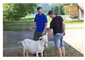 230601Ziegenhof008.jpg 230601Ziegenhof008.jpg