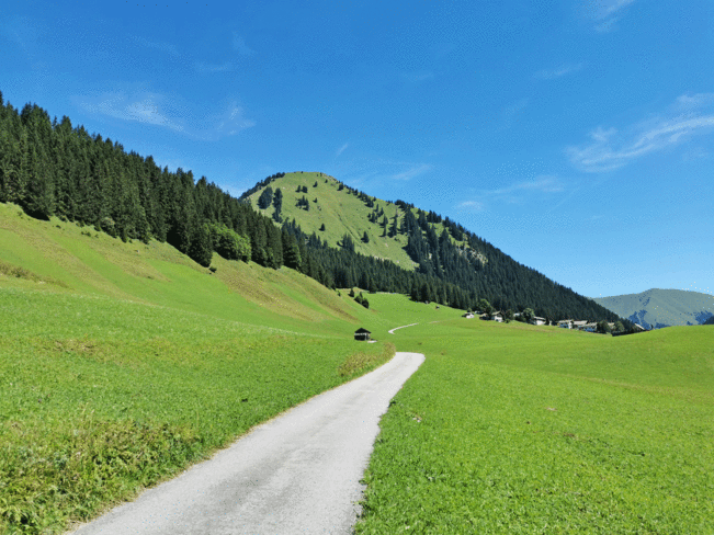 ┬®-Joachim-Pittracher-Kopie.gif ┬®-Joachim-Pittracher-Kopie.gif