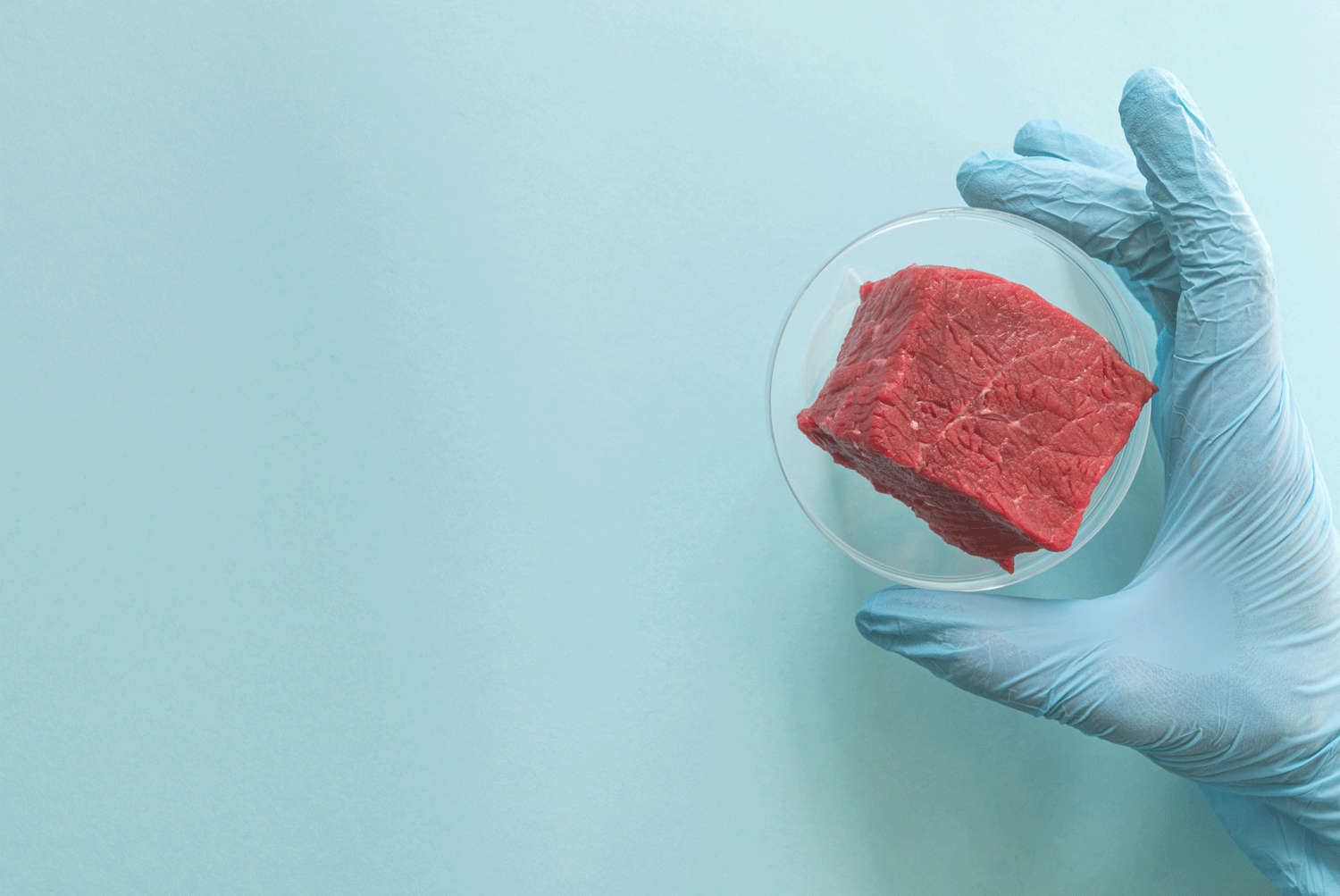 anaumenko_AdobeStock_514935419.gif © BarTa – stock.adobe.com anaumenko_AdobeStock_514935419.gif © BarTa – stock.adobe.com