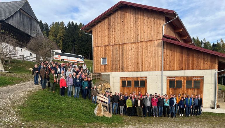 Schafe Gruppenbild.jpg Schafe Gruppenbild.jpg
