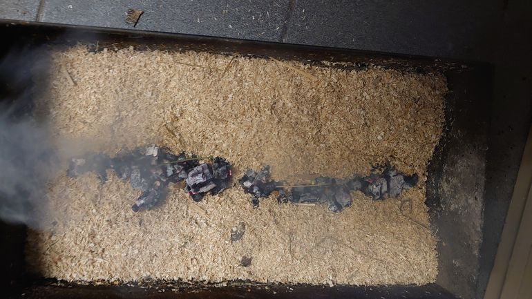 DSC_1079.jpg © Seiwald DSC_1079.jpg © Seiwald