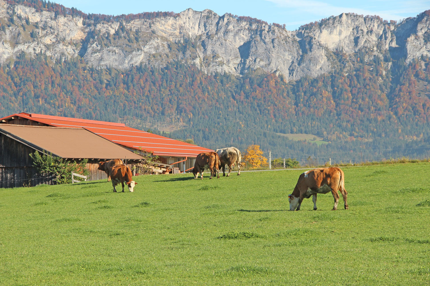 IMG_8585.jpg © LK Tirol IMG_8585.jpg © LK Tirol