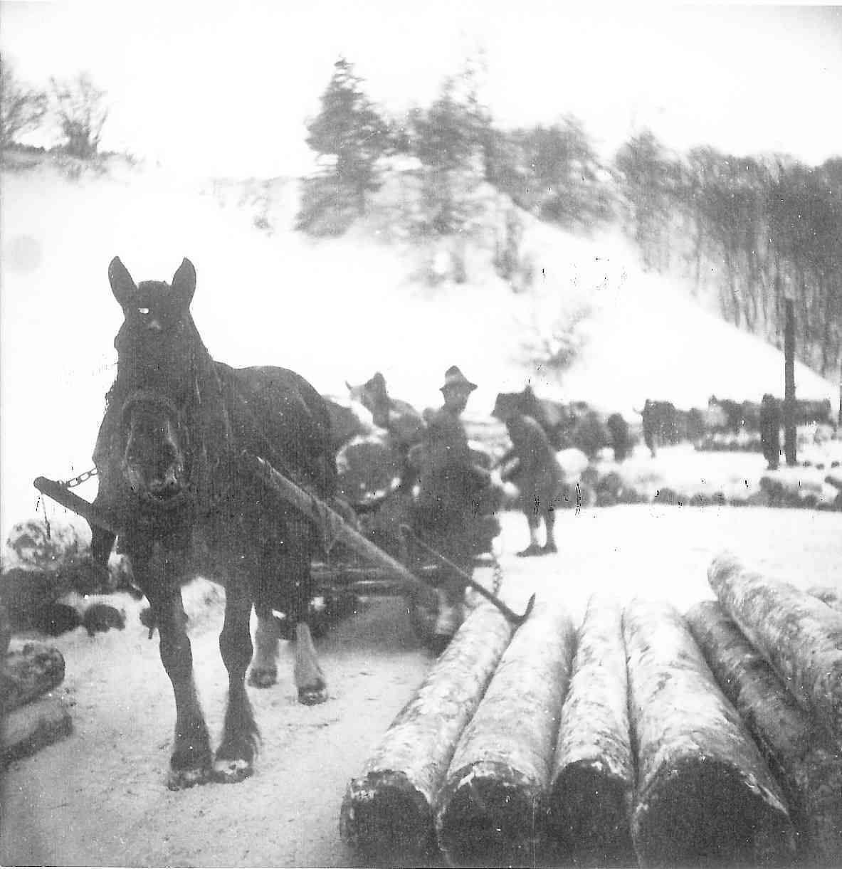 Leogang1.jpg © Archiv Leogang1.jpg © Archiv