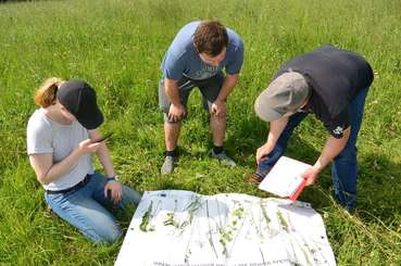 Naturschutzmonitoring © ÖKL