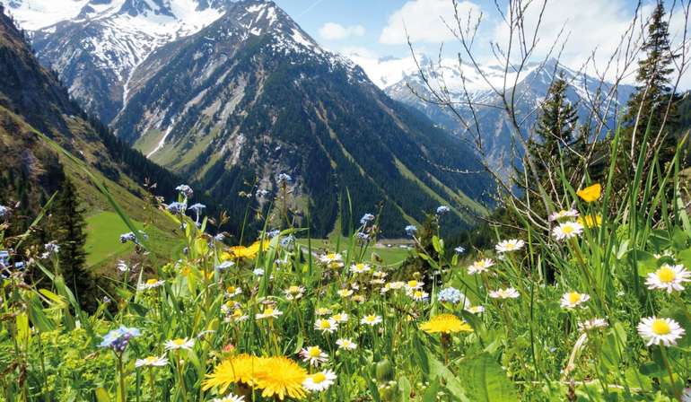 Biodiversität © paul auf Fotolia.com Biodiversität © paul auf Fotolia.com